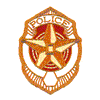 POLICE BADGE