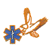 EAGLE & STAR OF LIFE