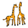 GIRAFFES