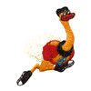 RUNNING OSTRICH