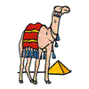 CAMEL & PYRAMID