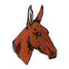 DONKEY