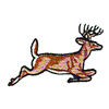 RUNNING BUCK