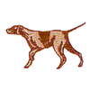 HUNTING DOG / POINTER