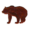 GRIZZLY BEAR