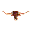 LONGHORN HEAD