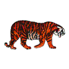 BENGAL TIGER