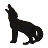 COYOTE SILHOUETTE