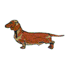 DACHSHUND