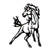 MUSTANG OUTLINE