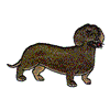 DACHSHUND