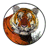 TIGER HEAD