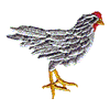 CHICKEN