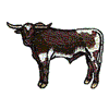 LONGHORN STEER