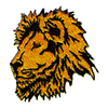 MALE LION HEAD