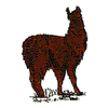 LLAMA