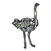 OSTRICH