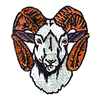 RAM