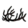 ANTLERS