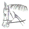 ARABIAN HEAD W/BRIDLE LG