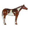 PAINT HORSE