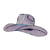 COWBOY HAT