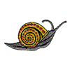 SNAIL