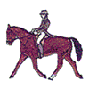 DRESSAGE RIDER