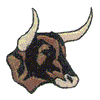 LONGHORN