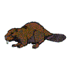 BEAVER