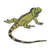 IGUANA