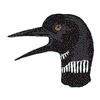 LOON DUCK HEAD