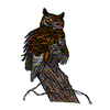 HORNED OWL