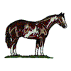 OVERO PAINT HORSE