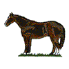 QUARTER HORSE