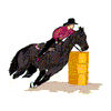 BARREL RACER