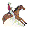 REINING HORSE