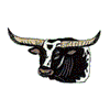 TEXAS LONGHORN