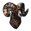 RAM