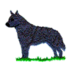 CATTLE DOG