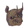 RHINO HEAD