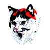 CALICO CAT HEAD