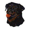 ROTTWEILER DOG HEAD