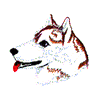 SIBERIAN HUSKY DOG HEAD