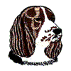 ENGLISH SPRINGER SPANIEL