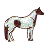 TOBIANO PAINT HORSE 5