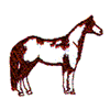 OVERO PAINT HORSE 6