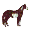 OVERO PAINT HORSE 8