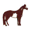 OVERO PAINT HORSE