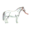 LIPIZZANER SKETCH